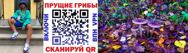 Галлюциногенные грибы ЛСД  Купить  Донской 