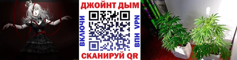 Конопля гибрид  Купить закладки  Донской 